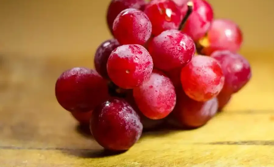 Ilustrasi buah anggur (foto: Bruno Scramgnon, pexels)